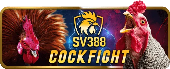 Hoàn trả hz888